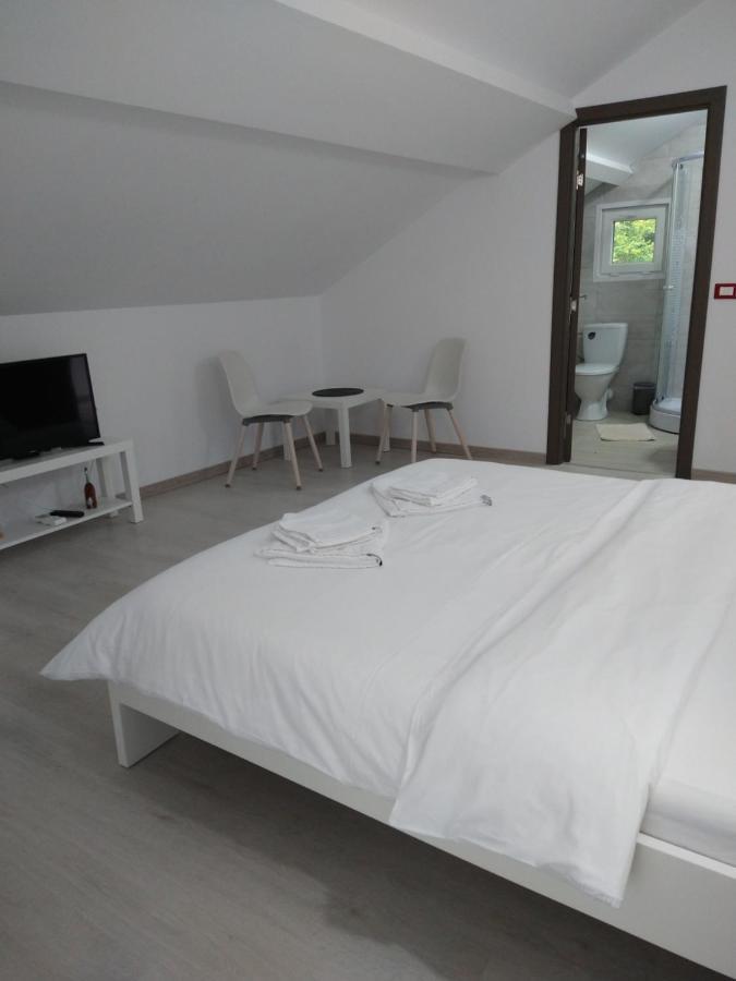 Hotel Casa Patryk à Orşova Extérieur photo