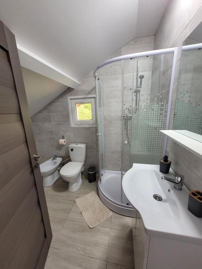 Hotel Casa Patryk à Orşova Extérieur photo