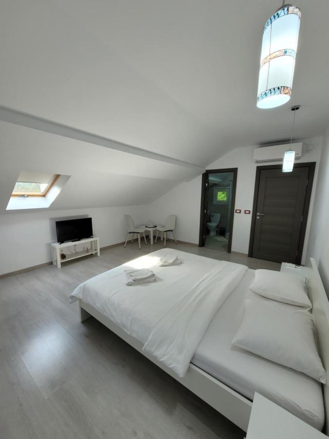 Hotel Casa Patryk à Orşova Extérieur photo