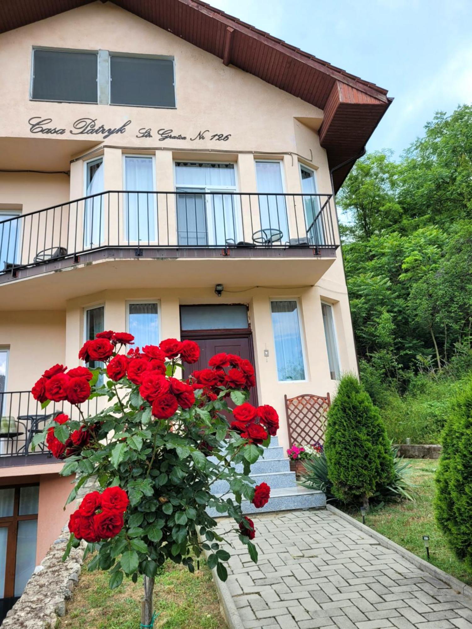 Hotel Casa Patryk à Orşova Extérieur photo